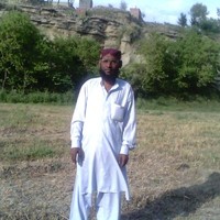 Shams Shams