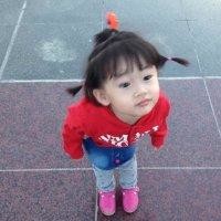 吴鸿雁