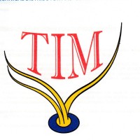 TIM ( Teknik Integrasi Mandiri )