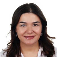 F. Elvan Karayel, MBA, PMP, PSM I