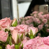 Shokhsanam Makhmudova