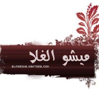 مشعل العنزي