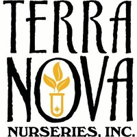 Terra Nova