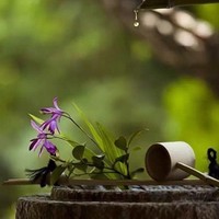 王丽燕