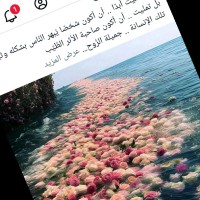 Nagla Farouk