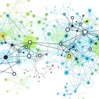 Network Admin