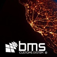 BMS Custom System