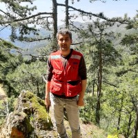 Uğur Zafer