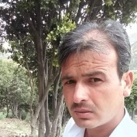 Ahmad Gul
