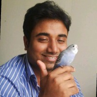 Ashish Kumar Vishwakarma