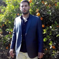 mohamed elnemr
