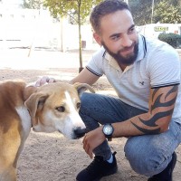 Tamir Baribi