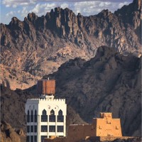 Suliman Alshammari