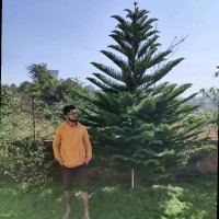 Rohit Giri
