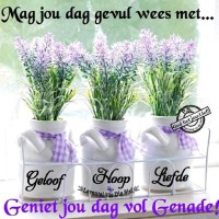 Mart Myb