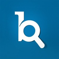 Bluereport Mediamonitoring