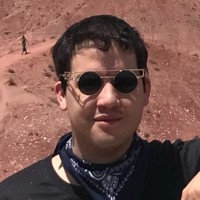 Carlos Lizarazo Koenig