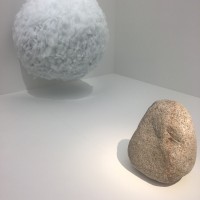 Jacques-Alexandre VIGNON