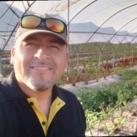 ELIO VASQUEZ VELA