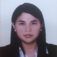 Erika Yllaconza Romero