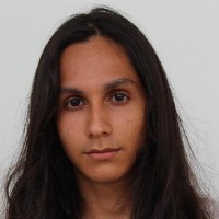 Luiz Francisco Silva Ribeiro