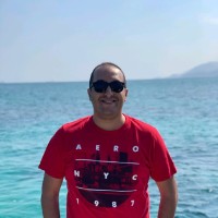 Mostafa Shaalan