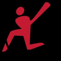 Total Cricket
