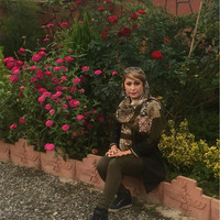 Shaghayegh Eini