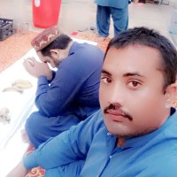 Shahid Bhatti