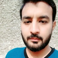 Muhammad Anees Anwar