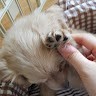 서명지