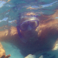 ariel minoli