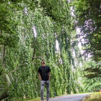 Neil Raj P