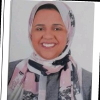 Alaa Mohy