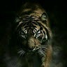 Santhosh Kumar