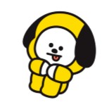 Y T