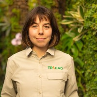 Isidora Ossa