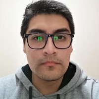 Wladimir Arias Riquelme