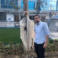 Ahmed Samir