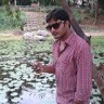 Praveen Reddy