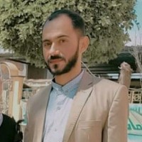 Sayed Shokry