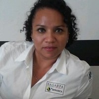 Claudia Ramírez Citalán
