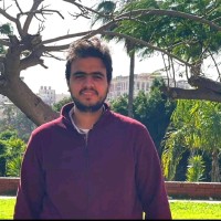 Mohamed Awad