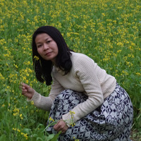 林晓茹