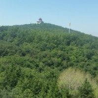 陈殿伟