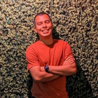 David Alvarado