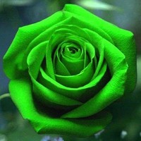 Pravir Lodh