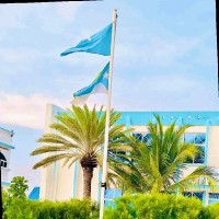 Faisal Abdihakim Mohamed