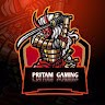 Pritam Gaming