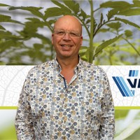 Arjan Sonneveld